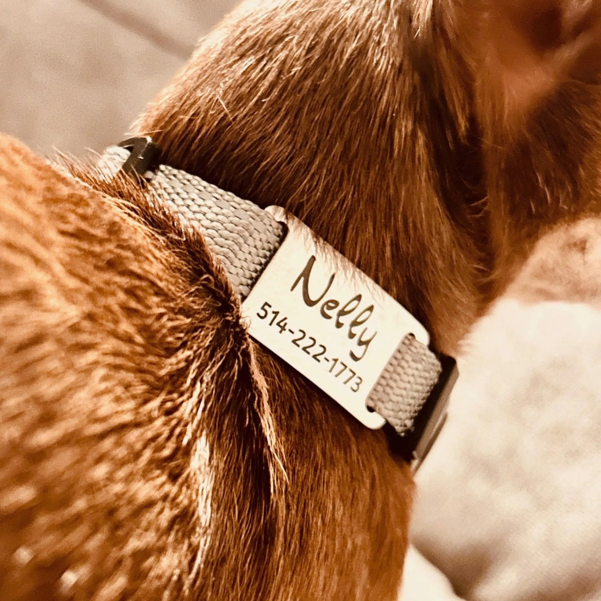 Médaille personnalisée pour animaux de compagnie Nelly et Cie inc.