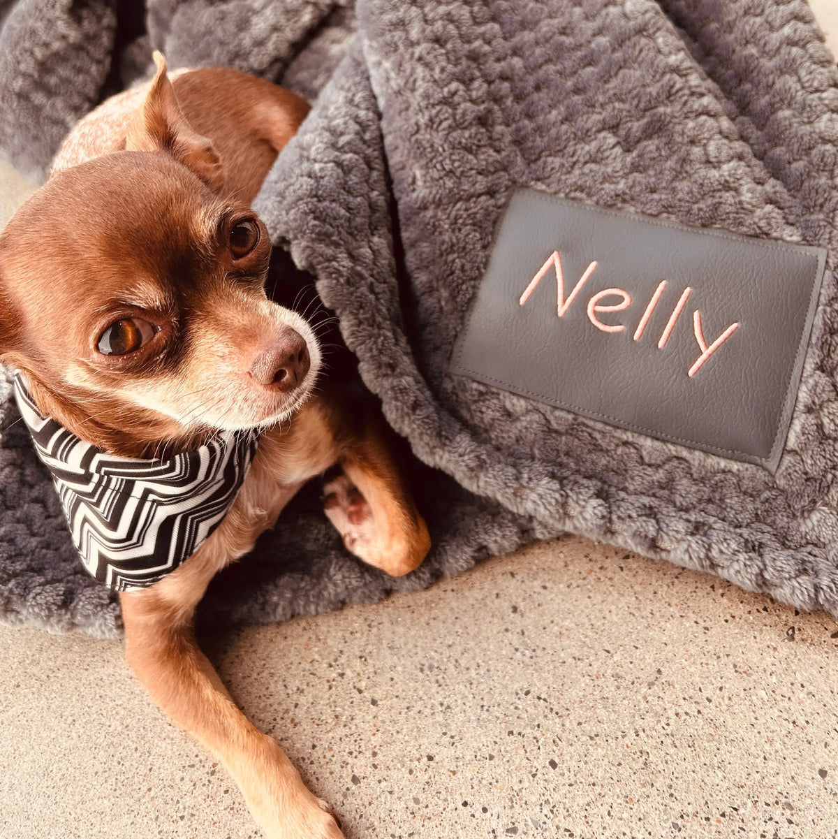 couverture imperméable personnalisée pour chiens et chats Nelly et Cie inc.