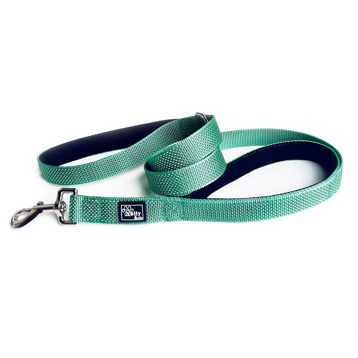 Laisse réfléchissante turquoise Nelly et Cie inc.