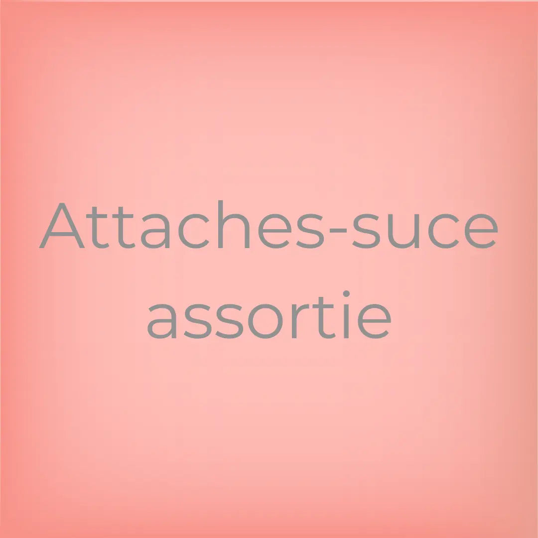 Attache-suce assortie Lolikö